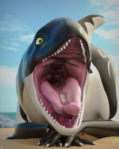 Dolphin Animated Furry Vore Dolphin Animated Furry Vore