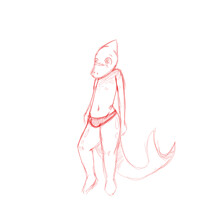 Shota Shark