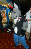 Iron Fox