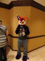 Furry Fiesta (TFF) 2013 Kitsune