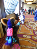 Furry Fiesta (TFF) 2013 Joy and Puppy playing
