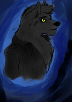 Vinnie Wolf 