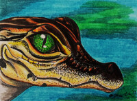 Crocodile ACEO