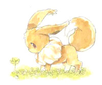 EeveE!