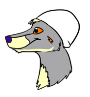 Design my hat! CONTEST