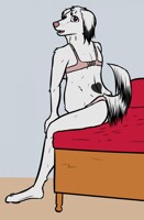 Wolf-For-Hire Commission 3/5