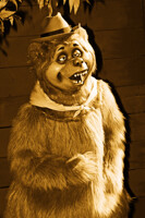 The Golden Bear