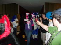 No you can't have him he is my swifty