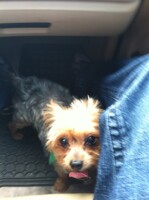 Alize got a hair cut