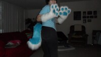 Paws and Tail~