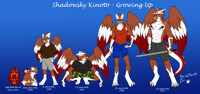 Shadowsky Kinoto - growing up