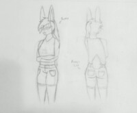 Some Bunny.