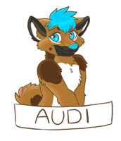 FWA Badge - Audi