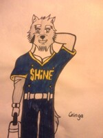 Ginga(Fursona)