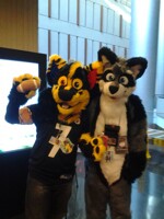 FWA 2013
