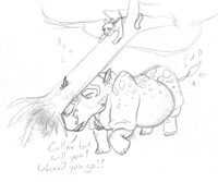 Conneich's Forms: Rhino