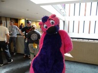 FWA 2013~ It's the Big Boom!