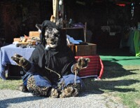 Tools ...wares...and weapons...all at a fair price!