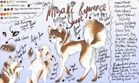 Fursona Misaki Reference Sheet