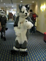 FE 2013 Picture #6