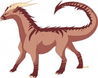 SDragon