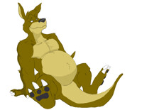 Mister-D's commission