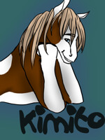 Kimito Badge
