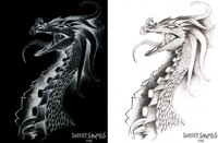 AP ART - Dragon Scratch