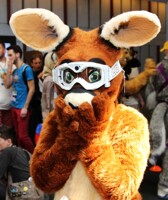 FWA 2013 - Lobo