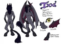 Ixxi Ref Sheet - Flats