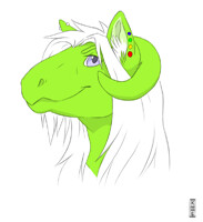 why the long face