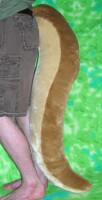 Otter tail