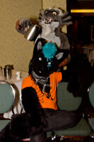 Vancoufur 2013 - Sneaky Dragons