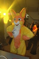 Does this light match my fur?