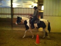 Mr. Dex And Me