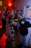 Are we furry's or are we dancer?