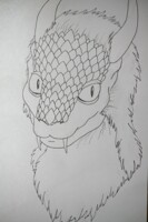 Nightclaw/Nightflowers Face