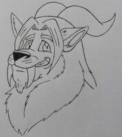 Sheepish Grin