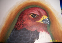 ::Hawk::