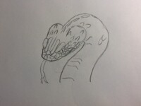 Rattlesnake