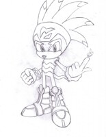 Flare the Echidna of the Nocturnus Clan