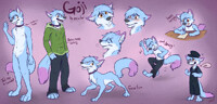 Goji Reference Sheet