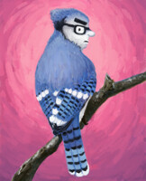 Bluejay