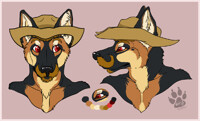 Major Mutt Mason Project:  4b) German Shepherd (Alternate)