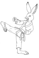 Rabbit-Yokogeri