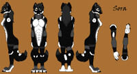 Sora Ref