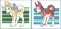 HuskyDesigns_4_OPEN