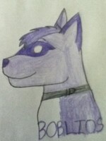 Commission from aerothebluewolf