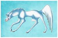 Feral Mackenya - Very Interesting Take