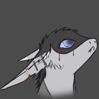 New Avatar